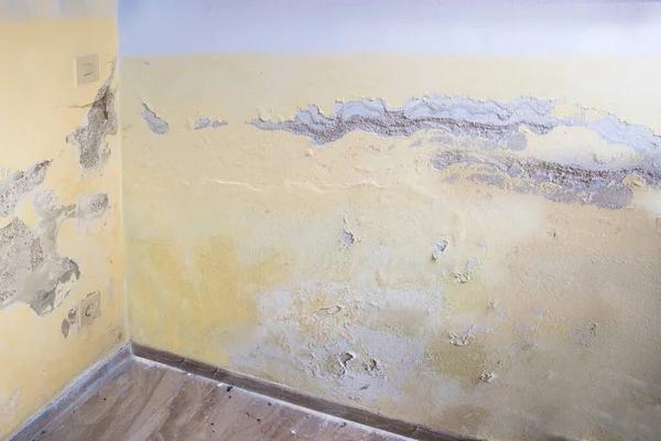 Top Water Damage Restoration Solutions for Emergency Situations