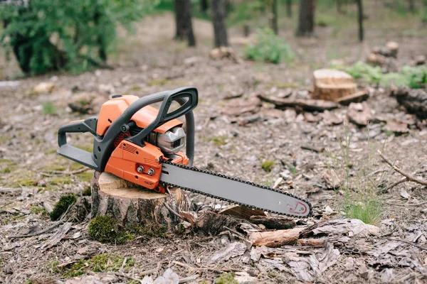 Tree Care Enterprises-Lake Geneva Expert Tree Services You Can Trust