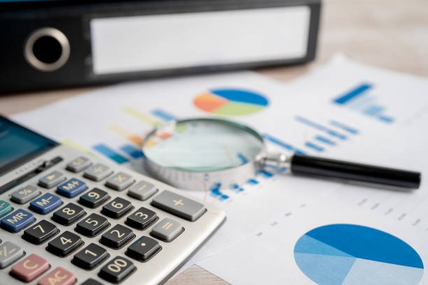 Maximize Efficiency with a Fractional Bookkeeping Service