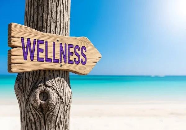 Ease Digestive Issues Naturally with Plant-Based Edibles
