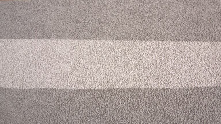Clean Smarter with Rug Cleaning Phoenix Experts